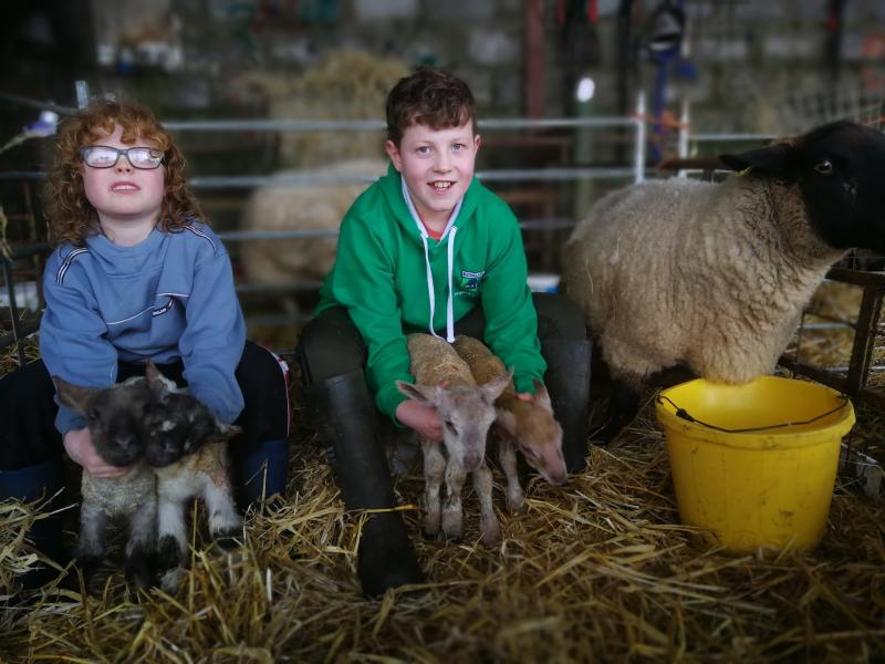 Diarmuid and Maitiu Hanley with the four lambs