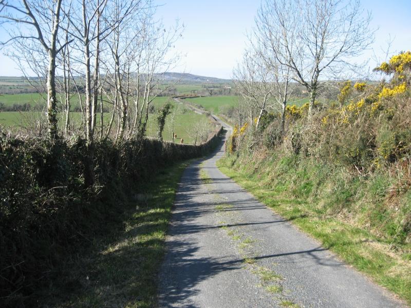 Hedgerow