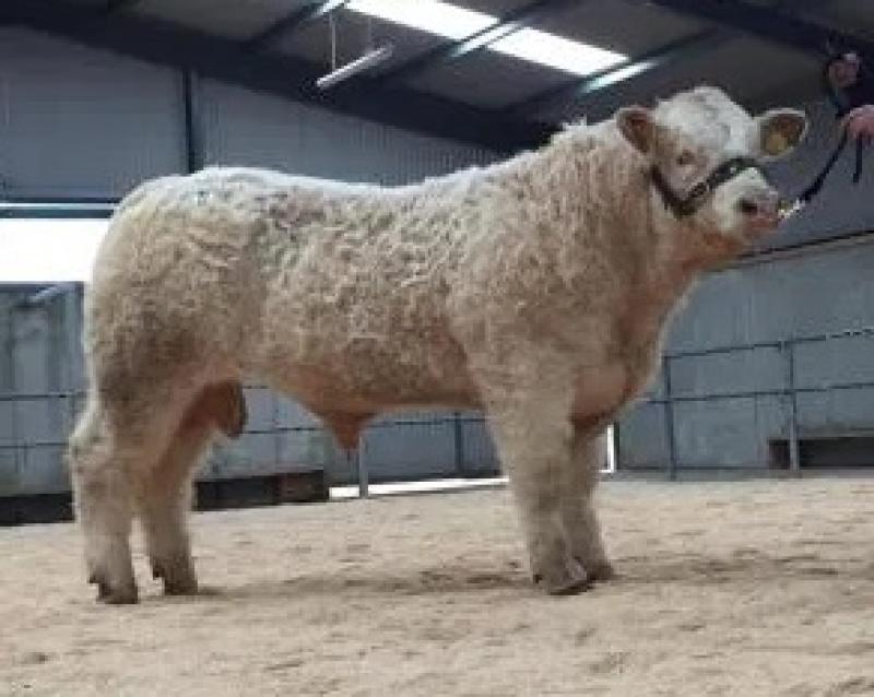 Rathfeston Oz ET PICTURE: ICCS