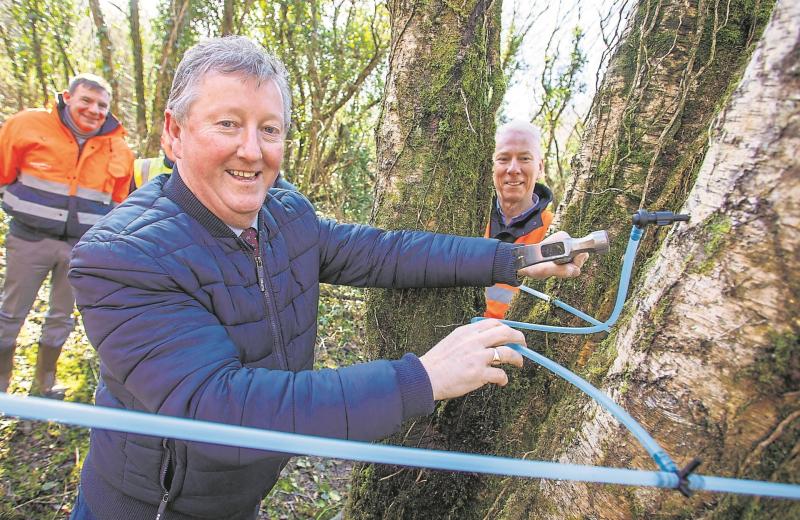 Vincent Redmond, Head of New Business at Bord na Mona and Tom Donnellan, Chief Executive Bord na Mona watch on as Minister for State Sean Canney TD taps a tree to start the Birchwater harvest at Derra