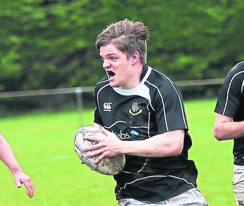 leinster rugby league division 1B