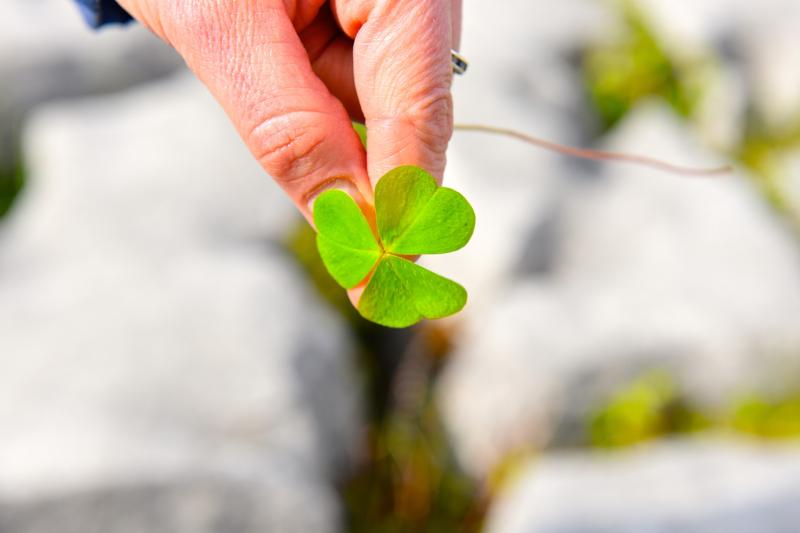 Dream St Patrick's weekend New York trip for Longford St Christopher's service users postponed owing to Covid-19 risk