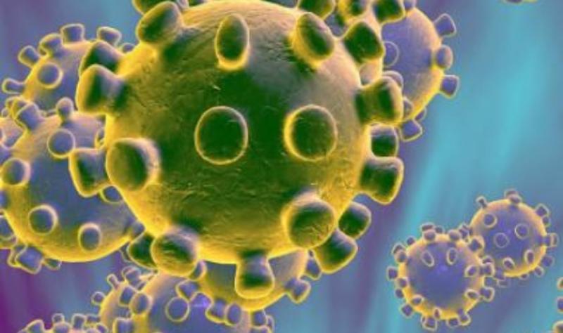 Parents contacted over confirmed coronavirus case following  sports blitz in the midlands