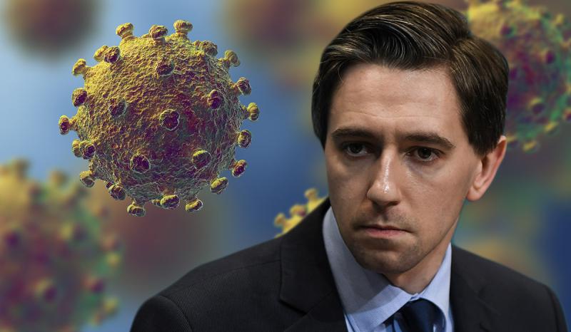Minister Simon Harris promises jobs and permanency for staff recruited during Covid-19 pandemic