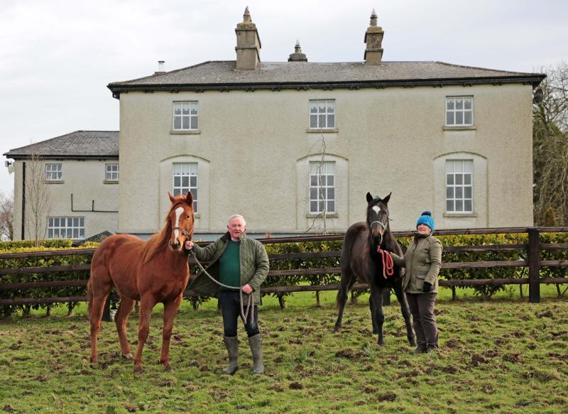 Cheltenham winner has Longford links