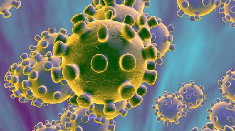 Thirteen new Covid-19 cases in Longford; 1,283 reported nationally
