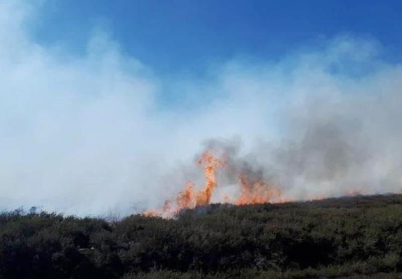 Public warned about high risk of forest and bog fires