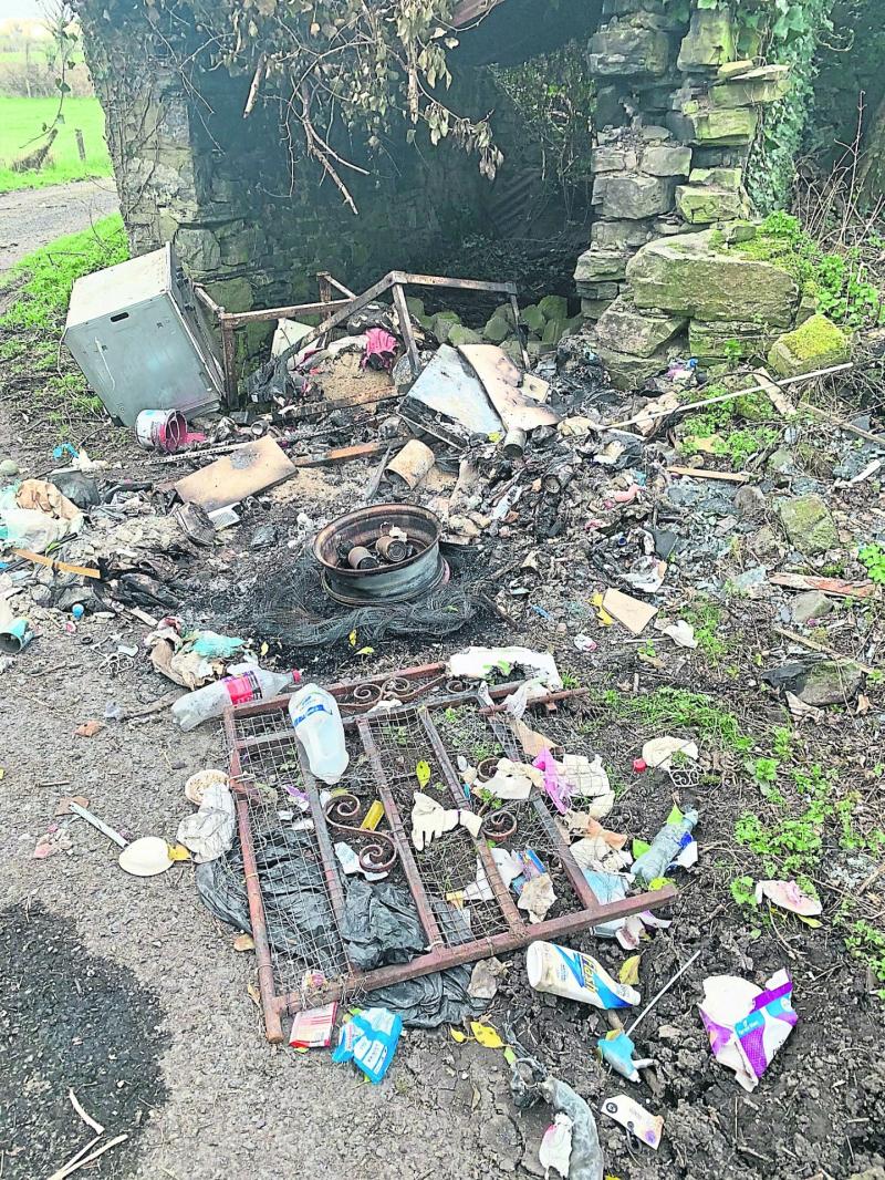 Granard councillor hits out at increase in illegal dumping