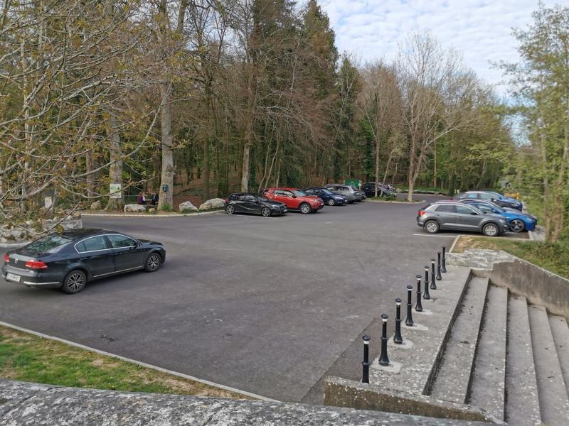 Ballymahon residents debate social distancing concerns at Newcastle Woods