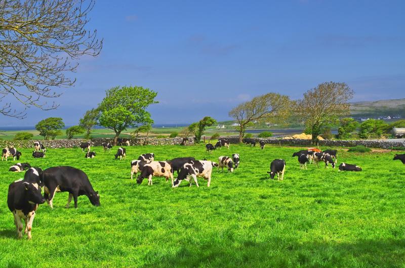 Government accused of failing farmers with 'pathetic measures' during coronavirus emergency