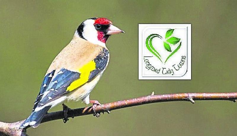 Longford Tidy Towns encourages composting