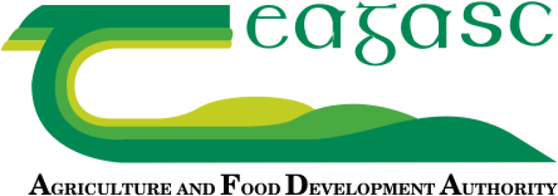 Teagasc ‘Let's Talk Cattle & Sheep’ webinar series