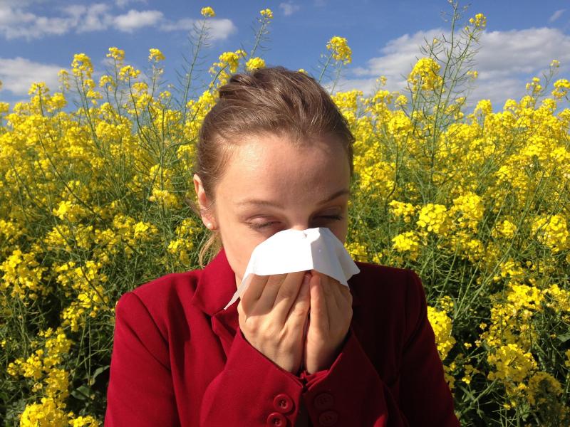 Healthy Eating: How your diet can help relieve your hayfever symptoms