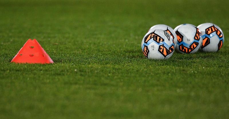 FAI confirm dates for matches and full contact training