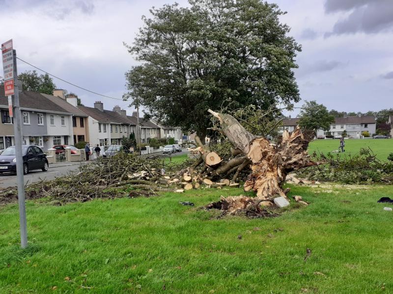 Storm Ellen