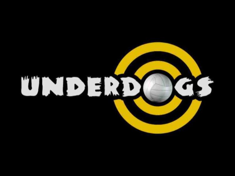 Calling all Longford Ladies! TG4's Underdogs series is back with a twist and searching for players
