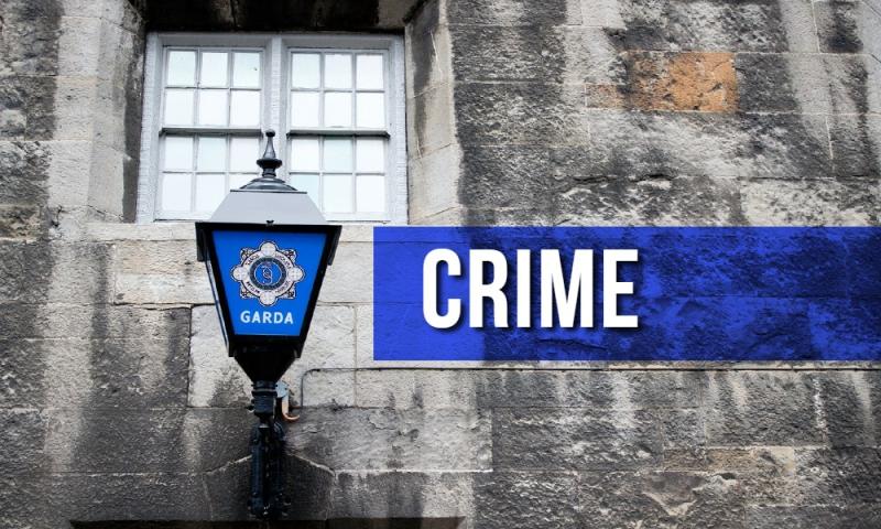 Spike in thefts in July caused by single culprit, Longford JPC hears