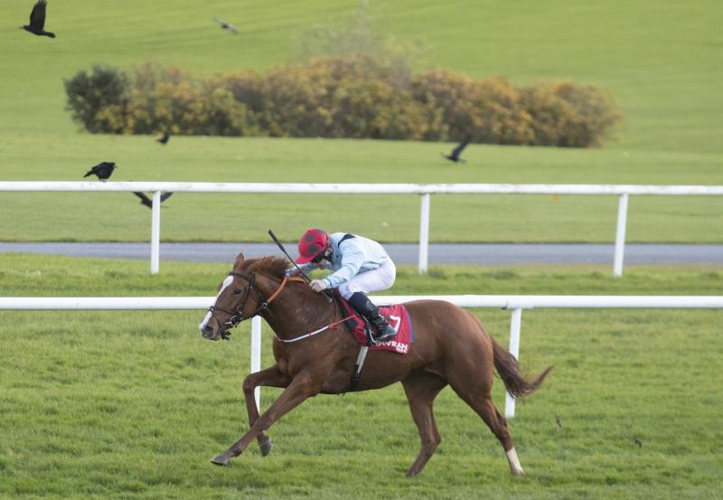 Longford trainer Paul Flynn wins at Gowran Park with MK Drama