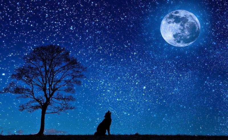 Rare blue moon over Longford this Halloween - and astronomy Ireland would love to see your photos