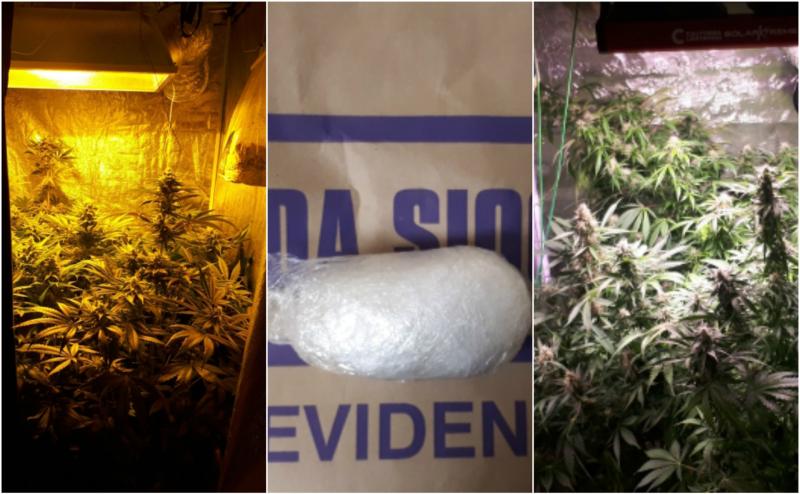 Longford gardaí seize €24,000 worth of suspected cannabis plants and cocaine in two separate drugs busts