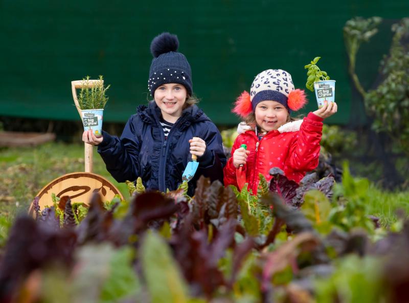 The Big Grow 2021: Registration for free food growing kits now open to Longford primary school teachers