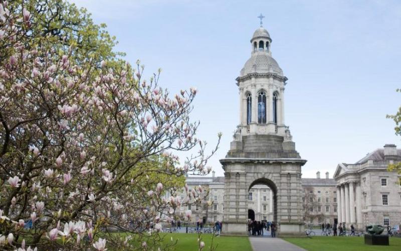 Five Longford students receive Trinity College entrance awards