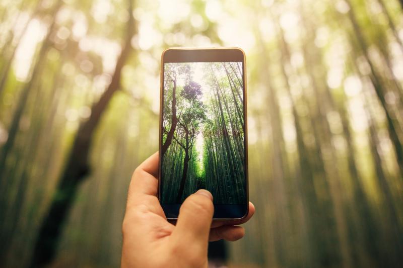 Top tips for taking stunning lockdown photography with a smartphone