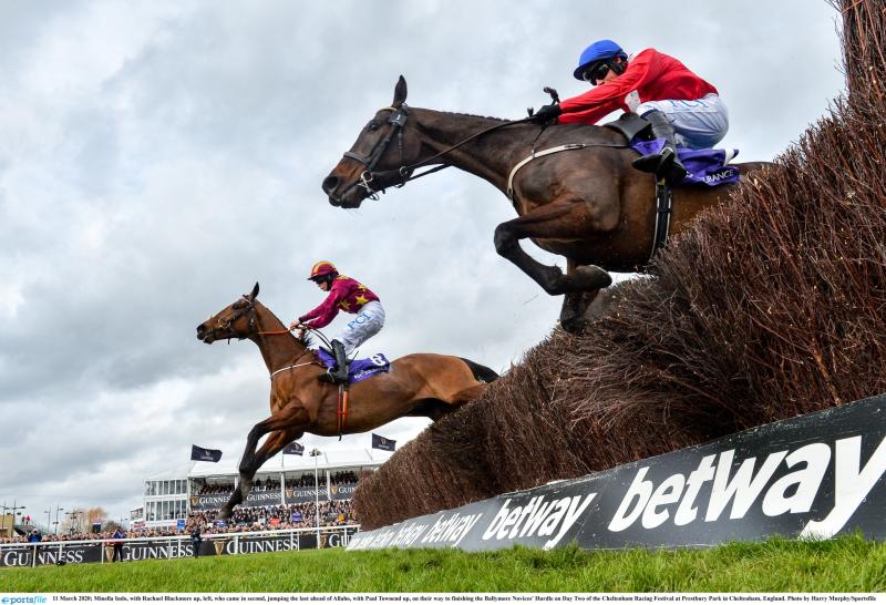 Road to redemption for Irish Gold Cup favourite and Cheltenham fancy