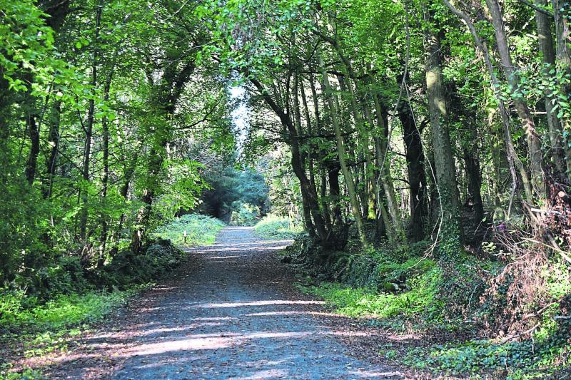 Longford in Spring: Short movie brings Longford's attractions to life