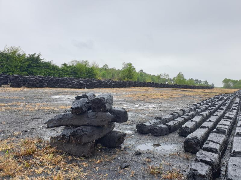 Turf war declared as Minister Ryan seeks views on controlling peat use