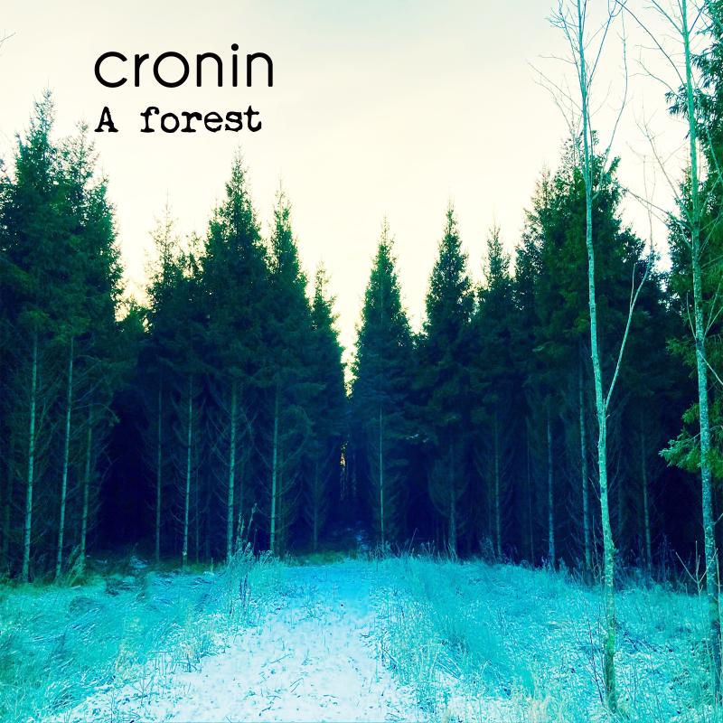 Drumlish band Cronin cover The Cure classic