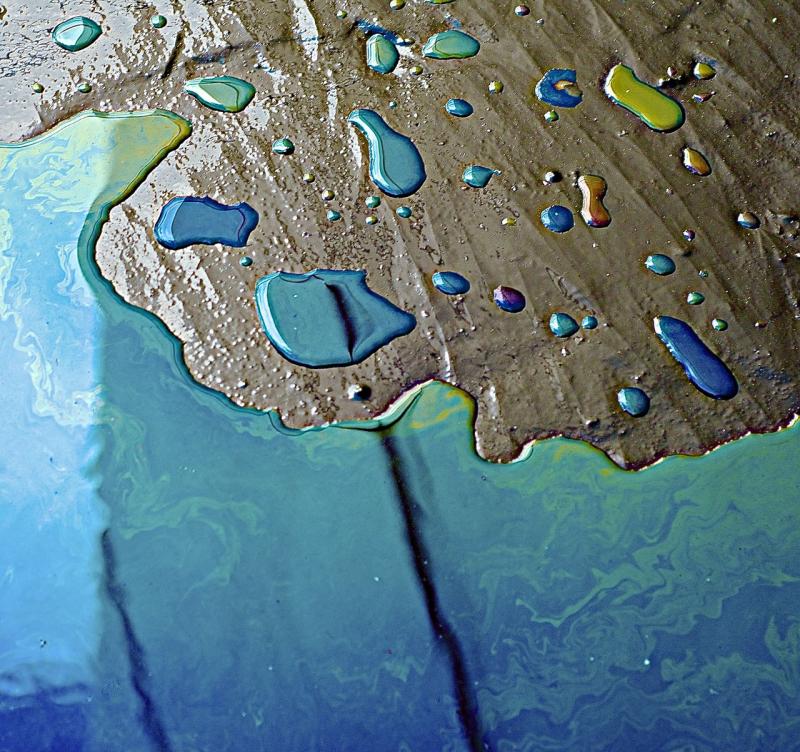 Inland Fisheries Ireland and Longford County Council investigate oil spill in local river