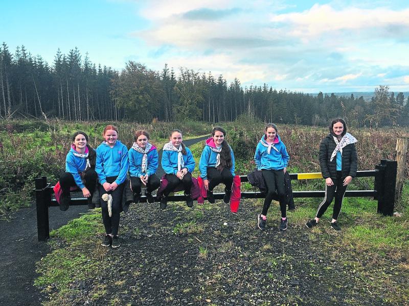 Ardagh Girl Guides witness and welcome Aberdeen Angus bull Baden to the world