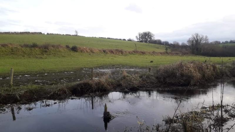 Longford group encouraged by ‘great positivity’ for Three Provinces Greenway proposal