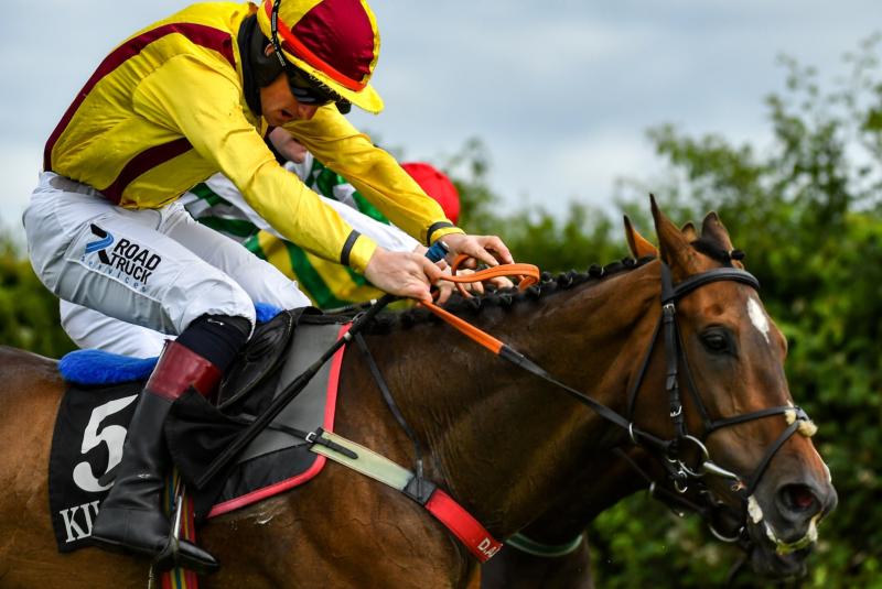 Rank outsider wins Irish Grand National