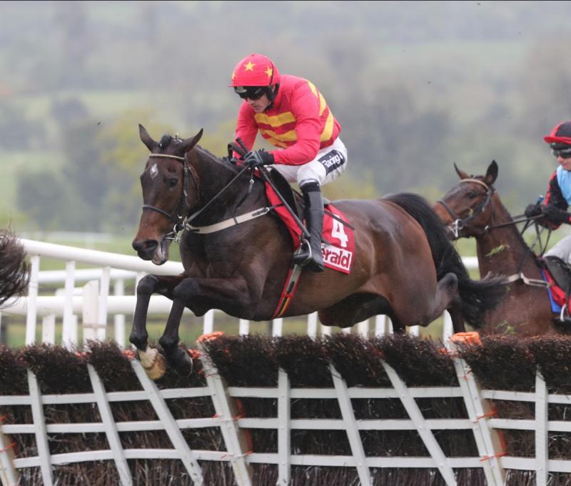 Punchestown Races