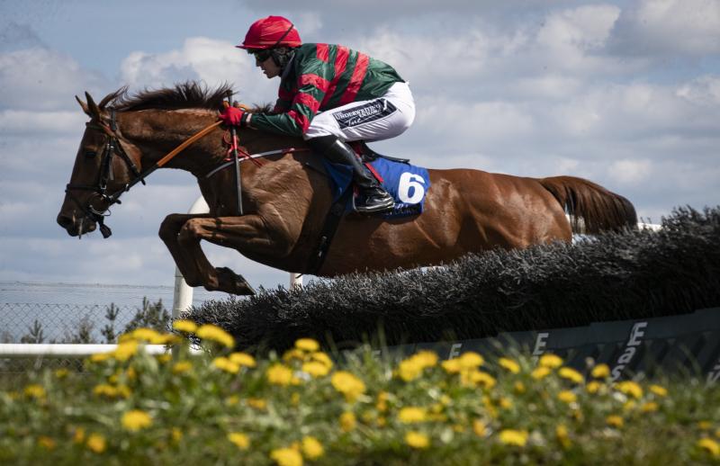 Longford trainer in winners enclosure as Clever Currency lands maiden hurdle at Limerick