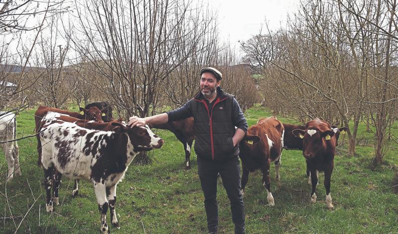 Ireland’s first Agroforestry Conference attracts more than 300 delegates