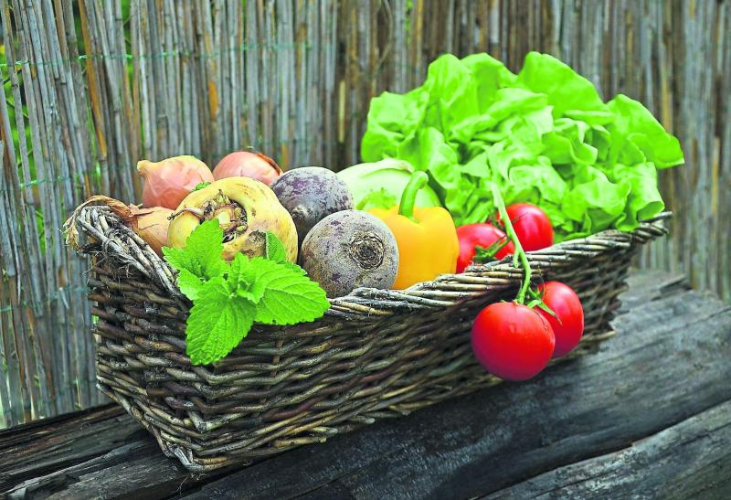 Ireland  envisioned as 'world leader' in Sustainable Food Systems within the next ten years