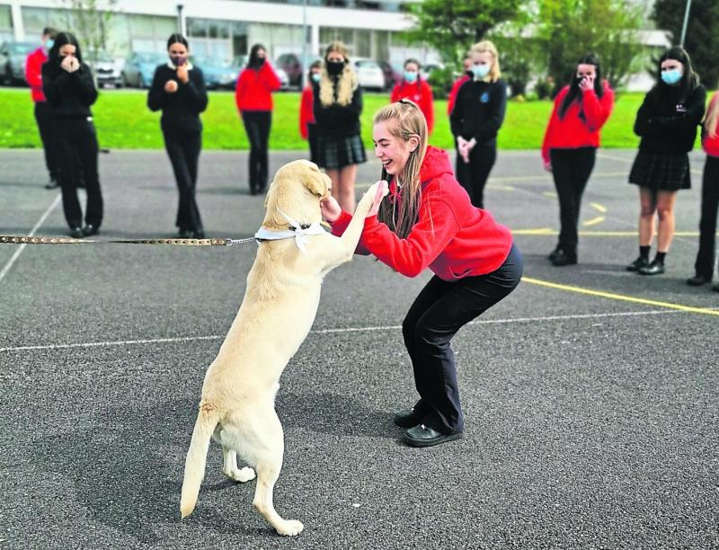Longford charity Cian’s Kennels reaches €5,000 fundraising target in five days