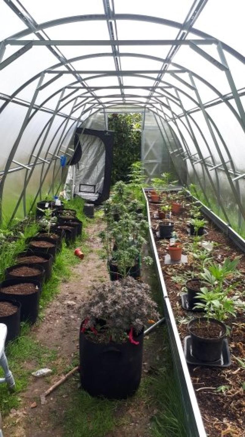 Man arrested following Roscommon drugs bust 