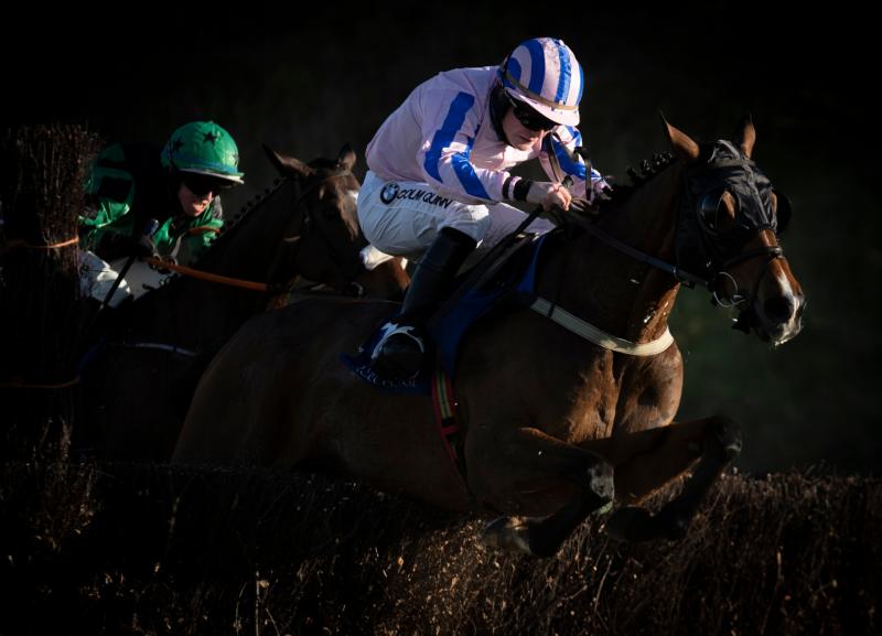 Longford trainer Paul Flynn enjoys success at Limerick with Railway Muice