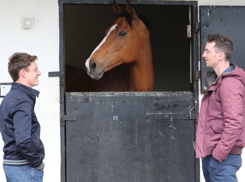 Faugheen joins the &lsquo;Living Legends&rsquo; Team at the Irish National Stud