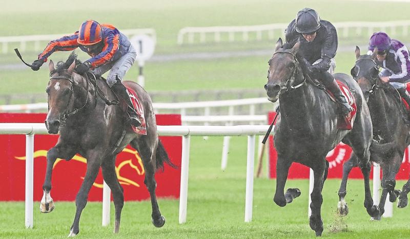 Racing: Ticket arrangements for Dubai Duty Free Irish Derby released