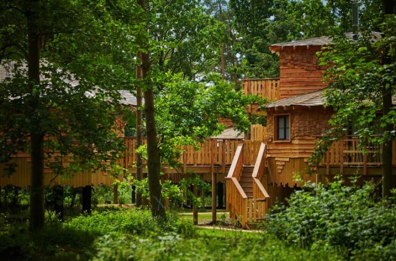 Photo Gallery: Spectacular aerial photographs reveal construction progress at €233m Center Parcs Longford Forest holiday resort