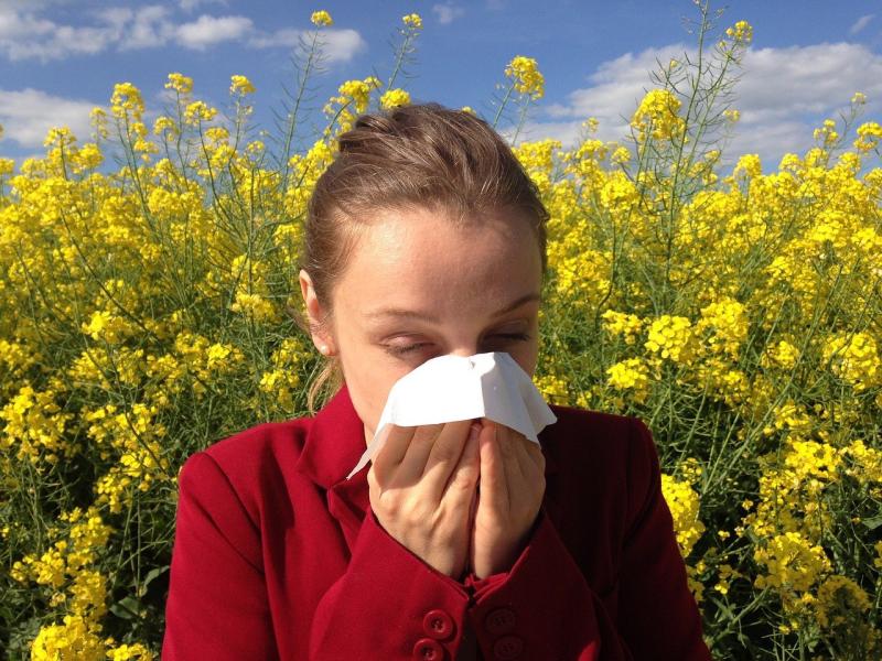 Hay Fever season is here! Use these top tips to survive the months ahead