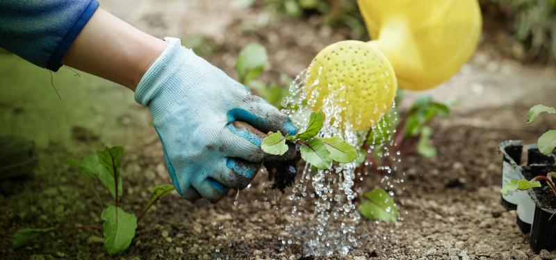 BREAKING | Longford households hit with night time water restrictions 