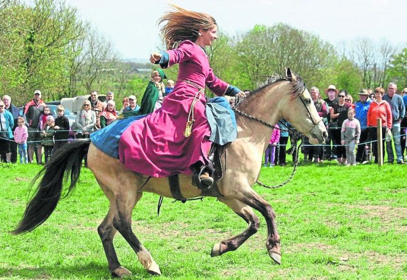 Norman People at Granard Knights & Conquests for National Heritage Week