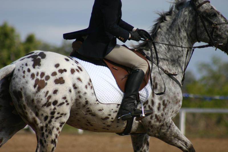 Longford competitors take part in behind-closed-doors RDS National Championships 2021