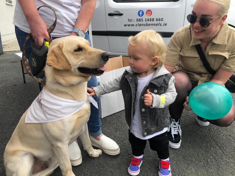 Malin to Mizen charity cycle kicks off this month in aid of Killashee charity Cian's Kennels